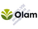 Olam